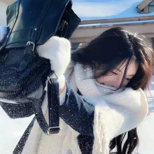徘徊者